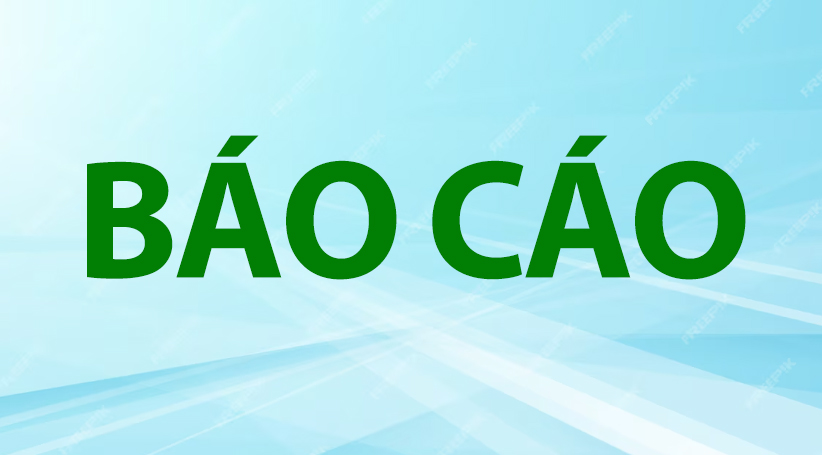 Báo cáo tóm tắt chỉ tiêu tài chính 2025 (Báo cáo hợp nhất đã kiểm toán năm 2025)